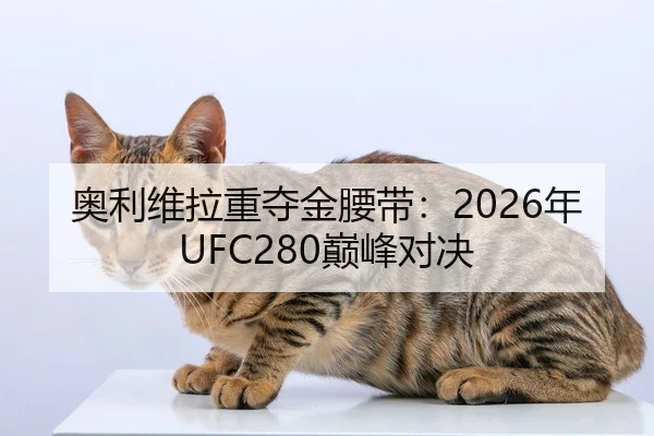 奥利维拉重夺金腰带：2026年UFC280巅峰对决