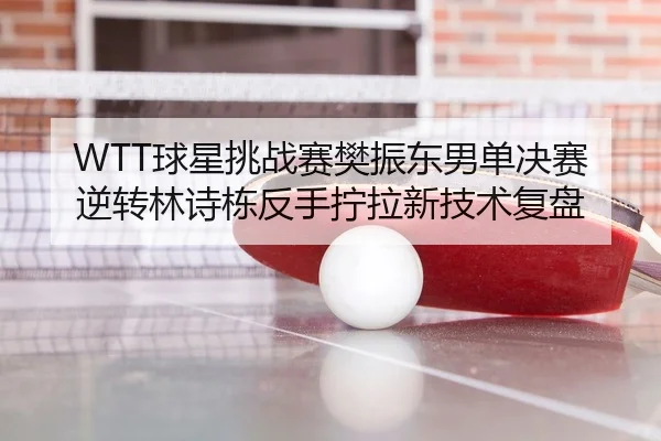 qiu-xing-tiao-zhan-sai-fan-zhen-dong-nan-dan-jue-sai-ni-zhuan-lin-shi-dong-fan-shou-ning-la-xin-ji-shu-fu-pan-3-267.jpg